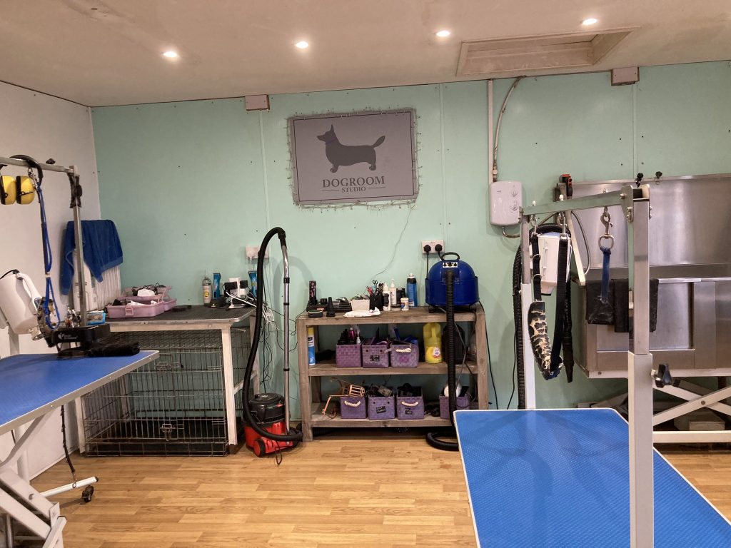 dog groomer